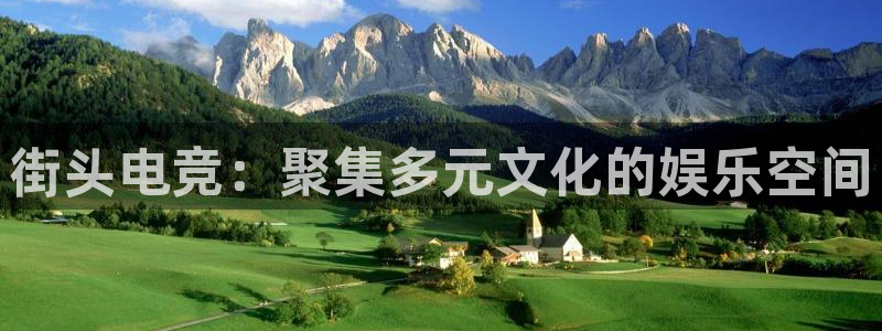 威客电竞酒店：街头电竞：聚集多元文化的娱乐空间