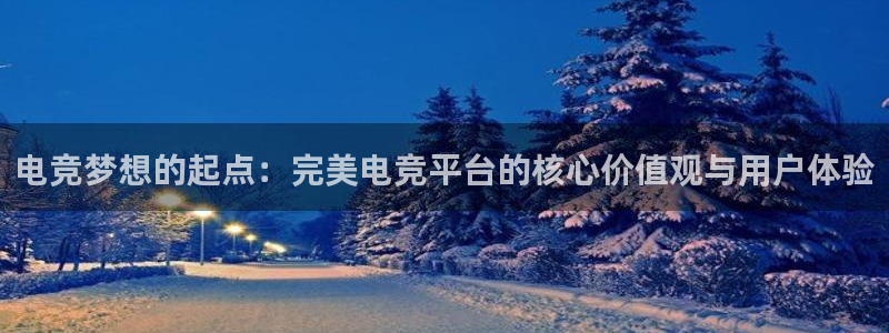 威客电竞vkgame官网：电竞梦想的起点：完美电竞平台的核心价值观与用户体验