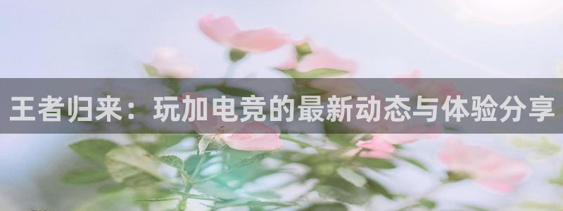 威客电竞集团：王者归来：玩加电竞的最新动态与体验分享