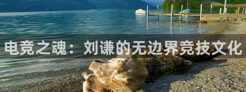 vk威客电竞：电竞之魂：刘谦的无边界竞技文化