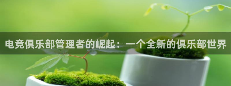 威客电竞网页版入口：电竞俱乐部管理者的崛起：一个全新的俱乐部世界