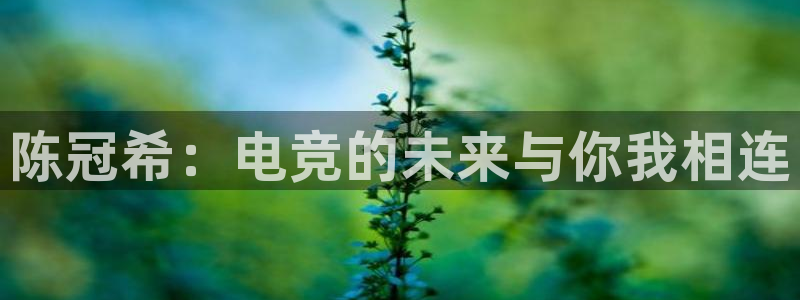 威客电竞网页版入口：陈冠希：电竞的未来与你我相连