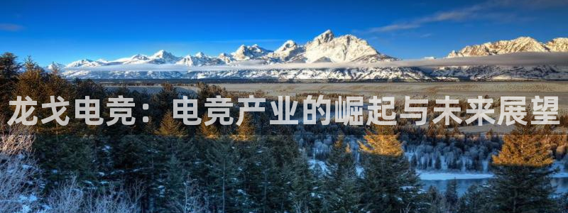 vkgame威客电竞：龙戈电竞：电竞产业的崛起与未来展望