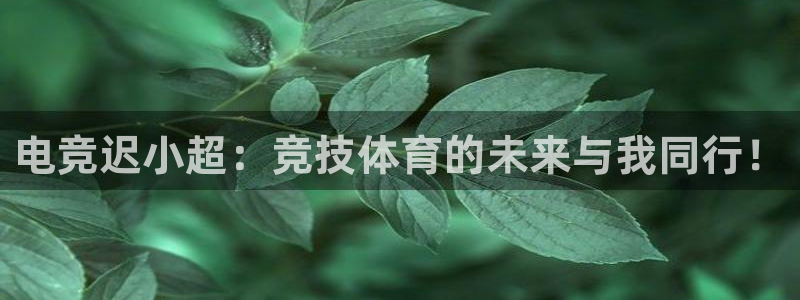vkgame 威客电竞：电竞迟小超：竞技体育的未来与我同行！