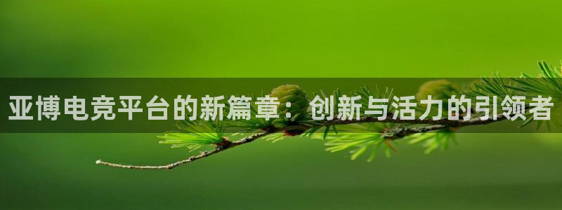 威客电竞集团：亚博电竞平台的新篇章：创新与活力的引领者