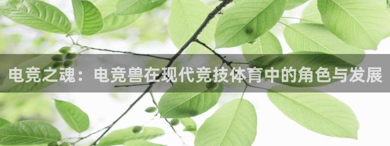 威客电竞客服：电竞之魂：电竞兽在现代竞技体育中的角色与发展
