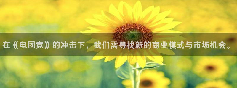 vk威客电竞：在《电团竞》的冲击下，我们需寻找新的商业模式与市场机会。