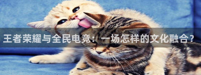 威客电竞网页版入口：王者荣耀与全民电竞：一场怎样的文化融合？