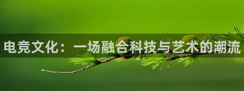 威客电竞网页版入口：电竞文化：一场融合科技与艺术的潮流