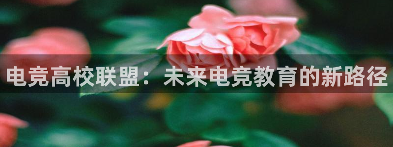 vkgame威客电竞：电竞高校联盟：未来电竞教育的新路径